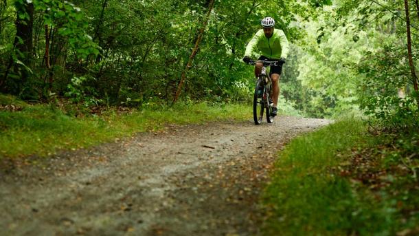 En mountainbike-rytter cykler igennem en grøn skov på en sti.