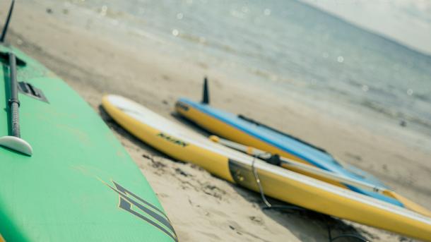 Paddle boards liggende på en strand.