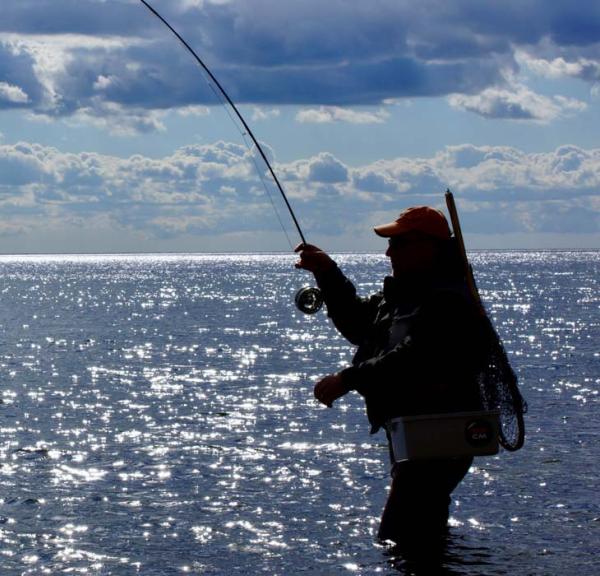 Sort silhuet af sportsfisker, der står med siden til og fisker i dybblåt vand op mod en blå himmel med blå skyer. Han har bid.