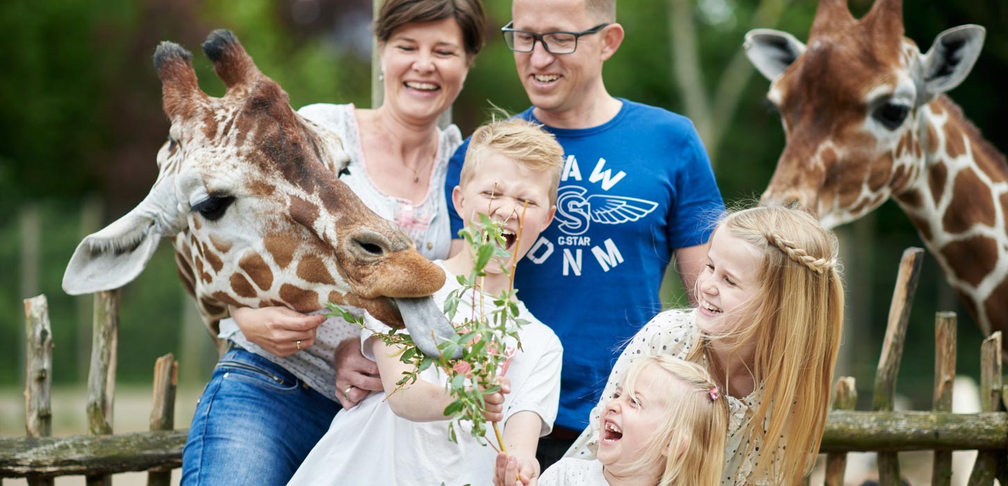 Kom Helt Taet Pa Dyrene I Odense Zoo Kom Helt Taet Pa Dyrene I Odense Zoo
