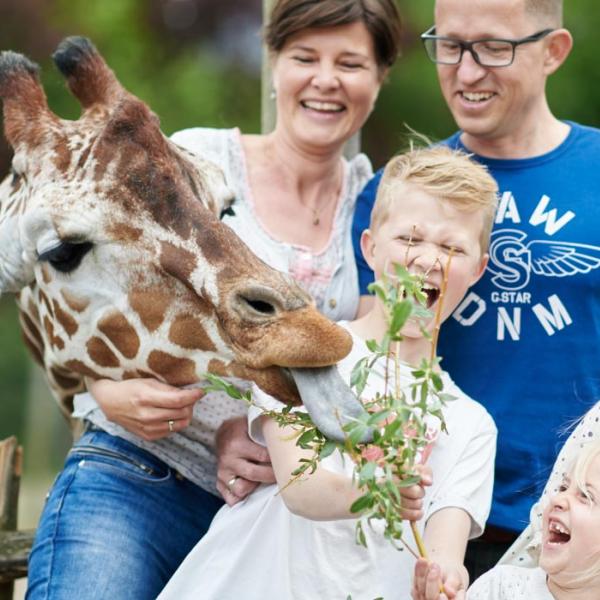 Kom Helt Taet Pa Dyrene I Odense Zoo Kom Helt Taet Pa Dyrene I Odense Zoo