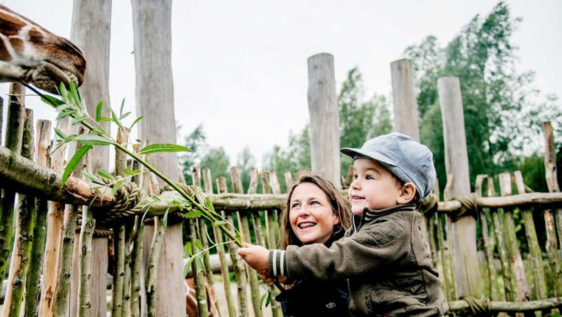 Kom Helt Taet Pa Dyrene I Odense Zoo