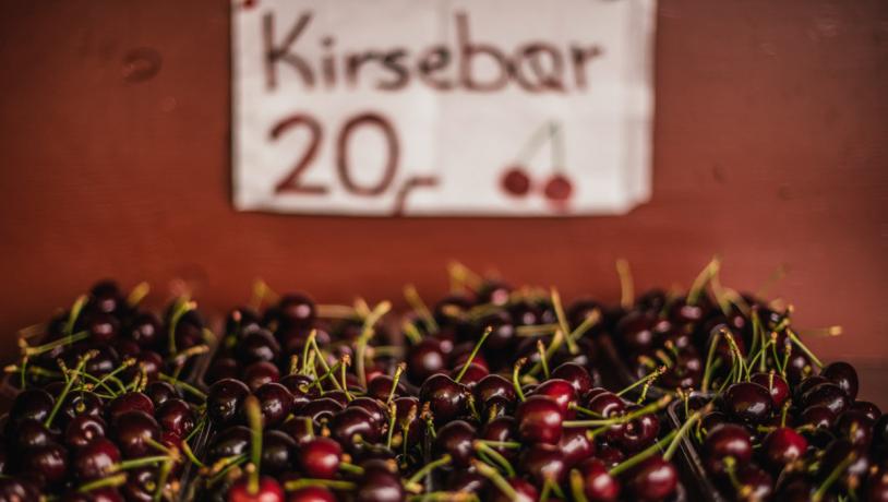 Otte pap-bakker er fyldt med kirsebær. De står på en træplade. Bagved er en sløret rød væg, med et hvidt papskilt. På skiltet står der "Kirsebær 20kr", og der er tegnet et kirsebær.