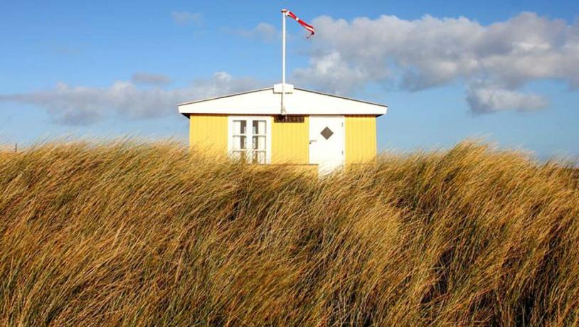 Gult sommerhus i midten af et strandligt landskab.