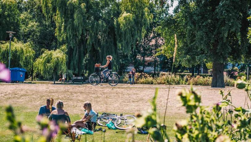 odense munkemose natur sommer cykling bike å