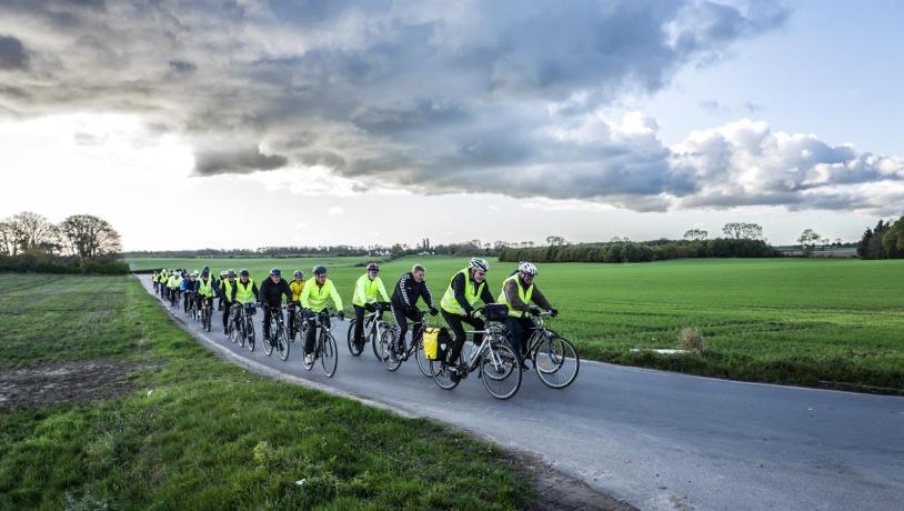 En stor flok cyklister i gule refleksveste cykler af sted hen ad asfaltvej.
