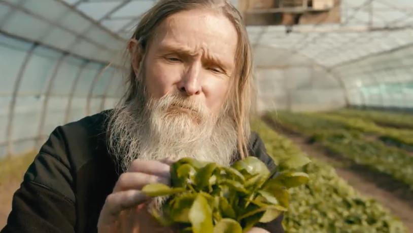 Nærbillede af mand med langt hår og langt hvidt skæg, der holder en grøn plante op.