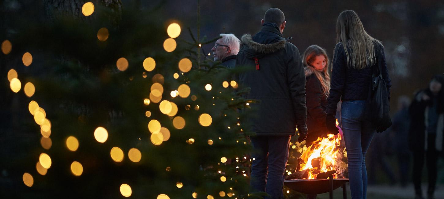 Et par mennesker omkring ild i et bålfad i mørket. Lyskæde på træ i forgrunden.