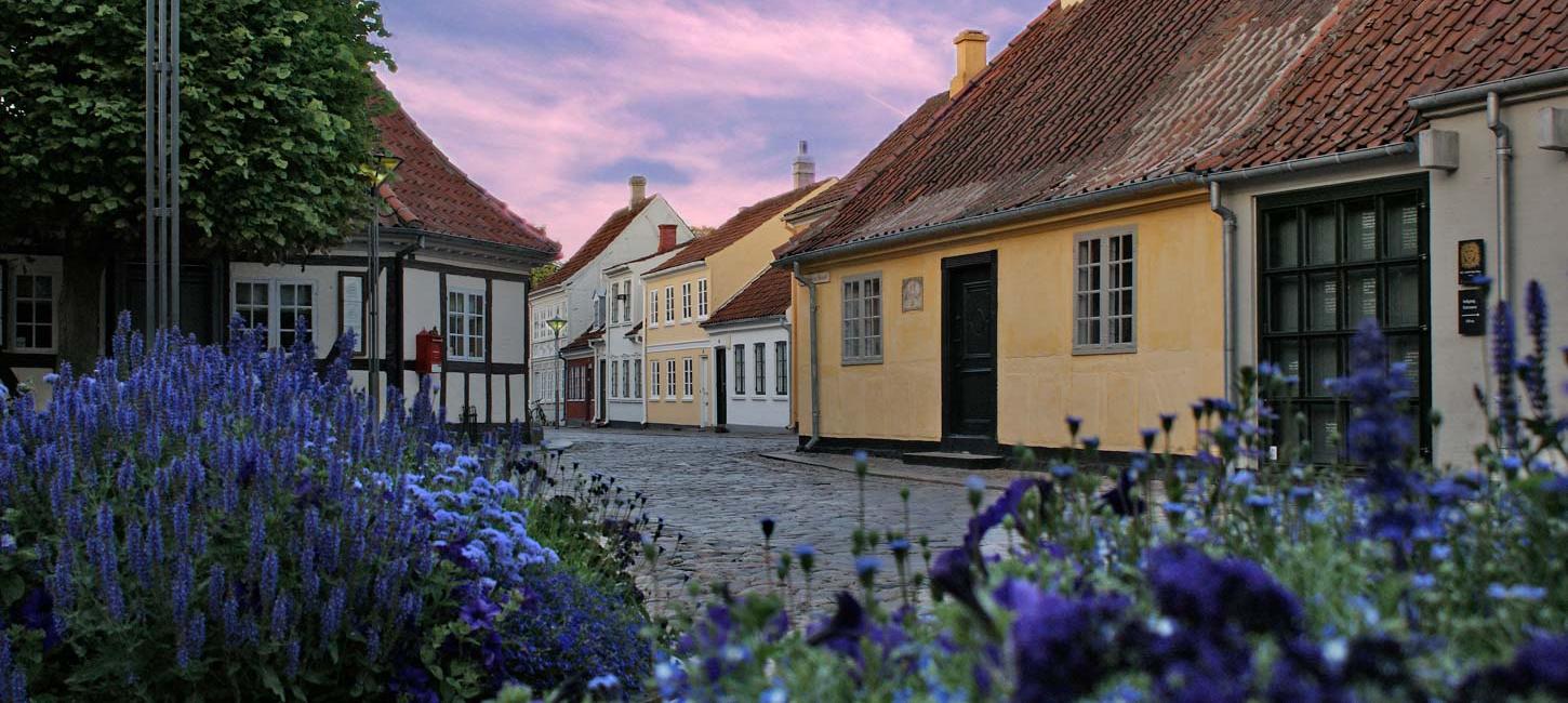 Under en lyserød himmel og gennem et bed med lilla blomster ses en brostensgade med gamle farverige huse. 