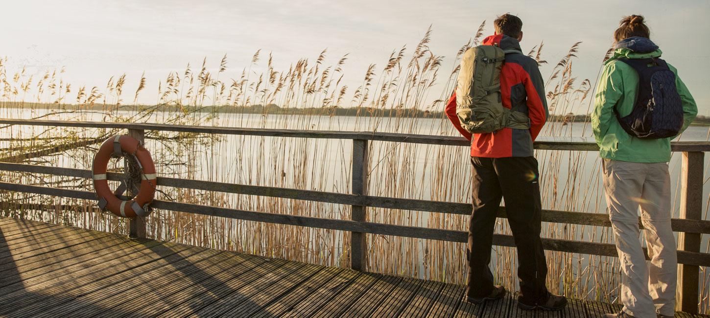 Vandring øhavsstien Fyn Natur