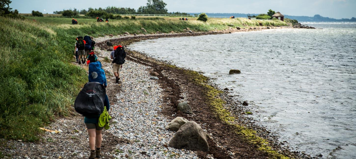 Fire vandrere med oppakning og sommertøj på en stenstrand ned til havet. 