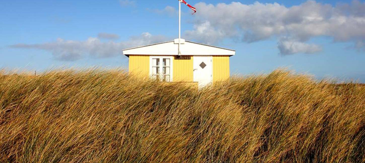 Gult sommerhus i midten af et strandligt landskab.