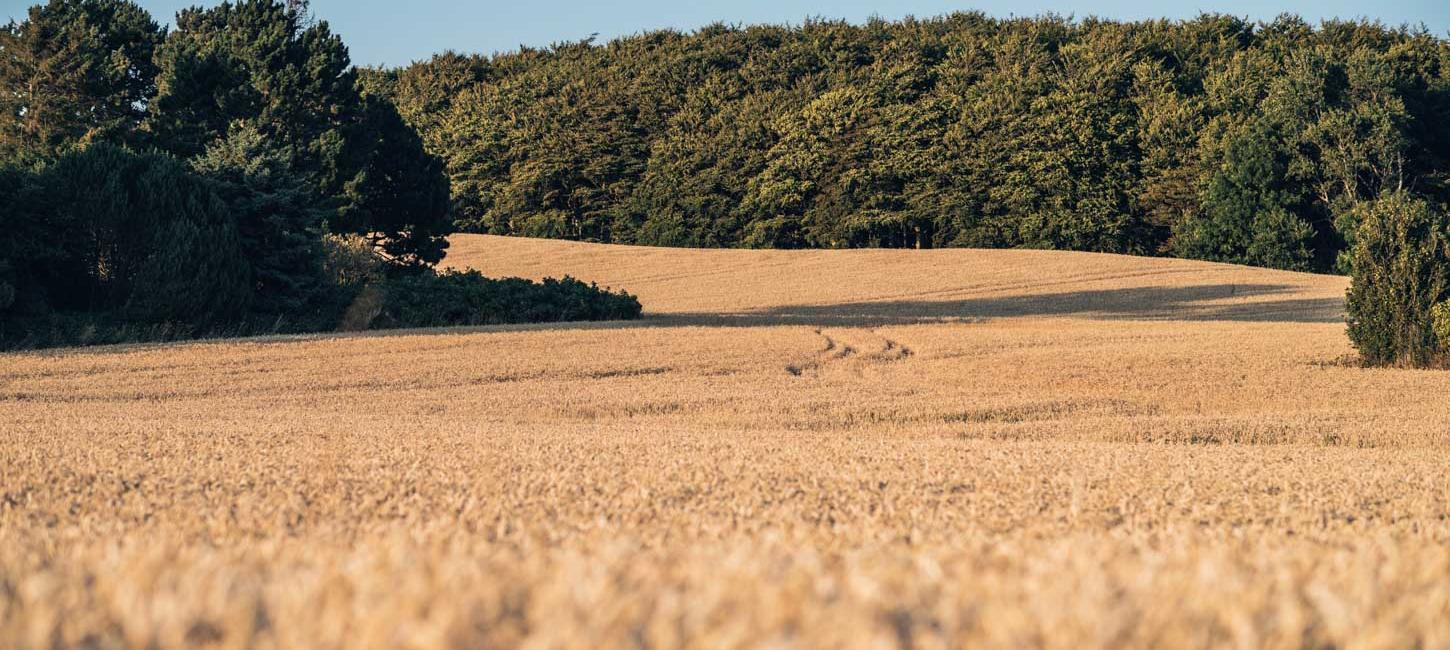 Oplev naturen på Langeland