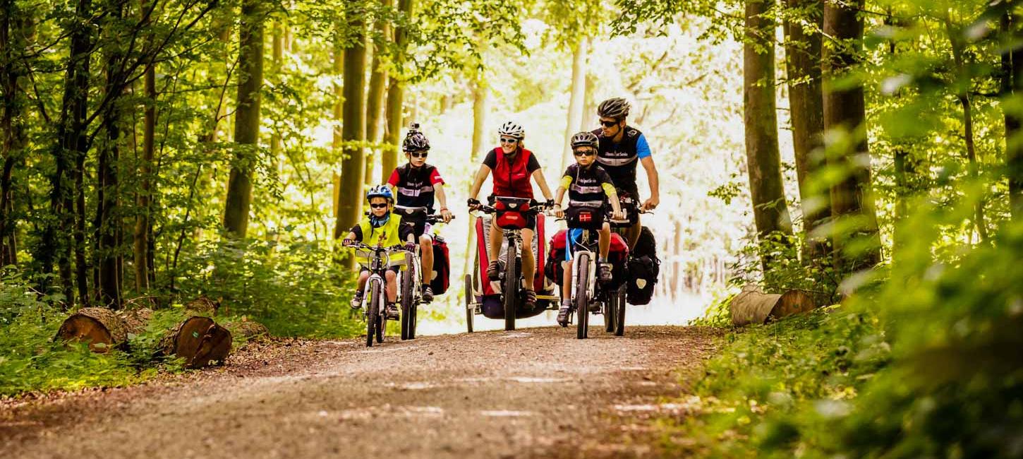 En familie på to voksne og tre børn cykler afsted i sportstøj og hjelme gennem en grøn skov. De følger en sti omgivet af frodige, grønne træer med sollyset, der filtreres igennem løvet, hvilket skaber en varm og indbydende atmosfære. 