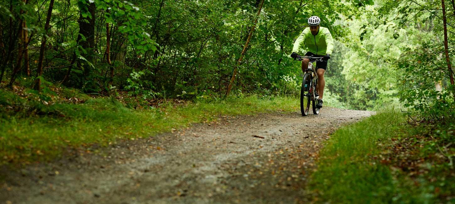 En mountainbike-rytter cykler igennem en grøn skov på en sti.