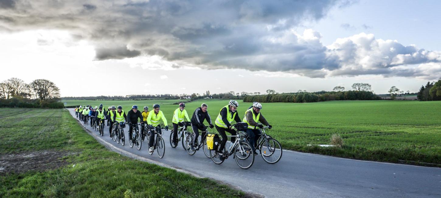 En stor flok cyklister i gule refleksveste cykler af sted hen ad asfaltvej.