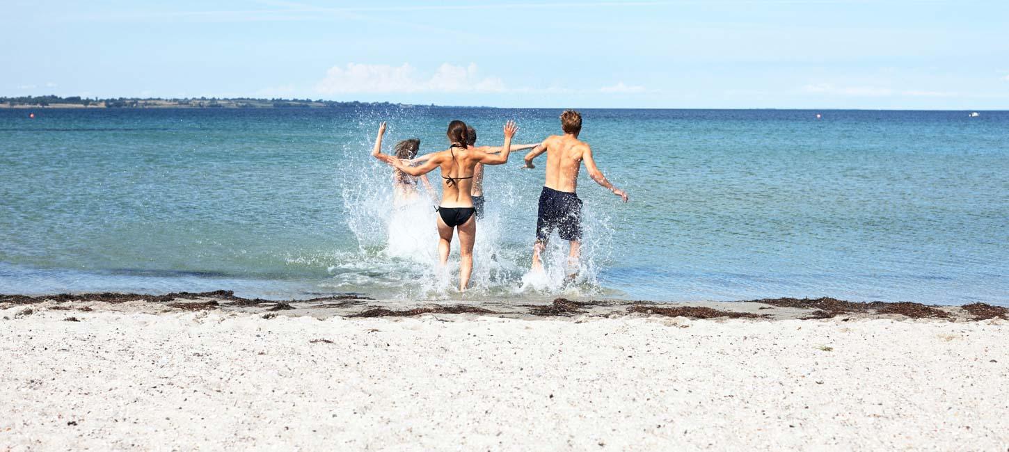 venner strand ærø vand sommer 