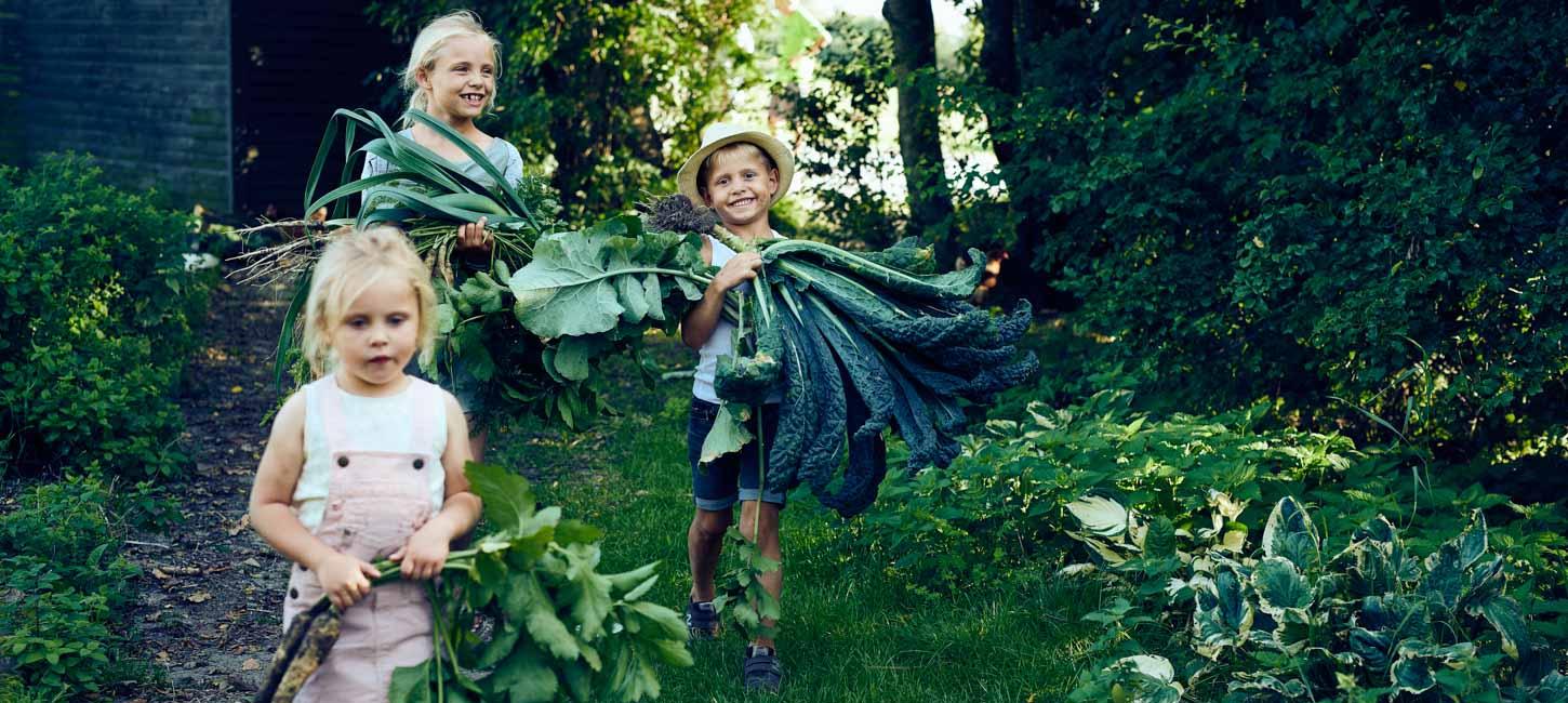 høst sommerhus børn sommer feriehus bondegårdsferie familieferie