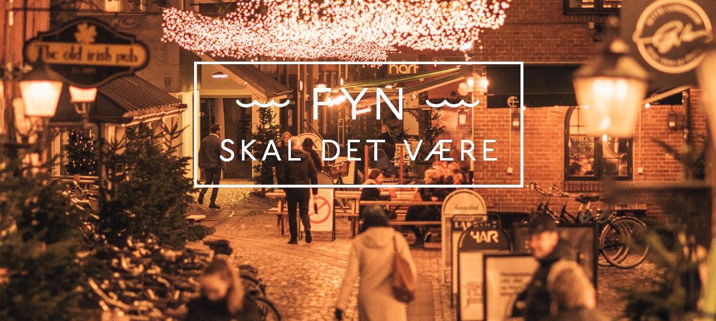 Fyn skal det være - jul i Odenses gader