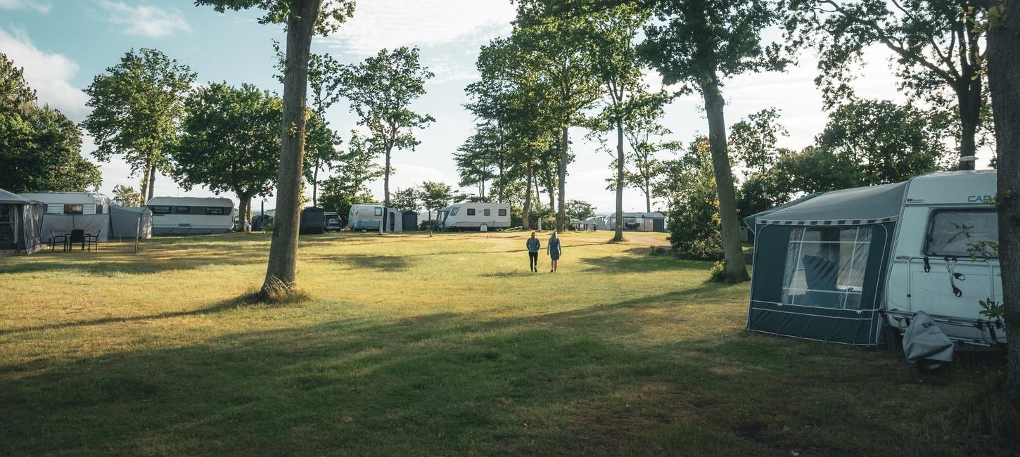 View ud over Falsled Strand Camping med grøn plæne, høje træer, campingvogne med fortelte og to mennesker midt i det hele.