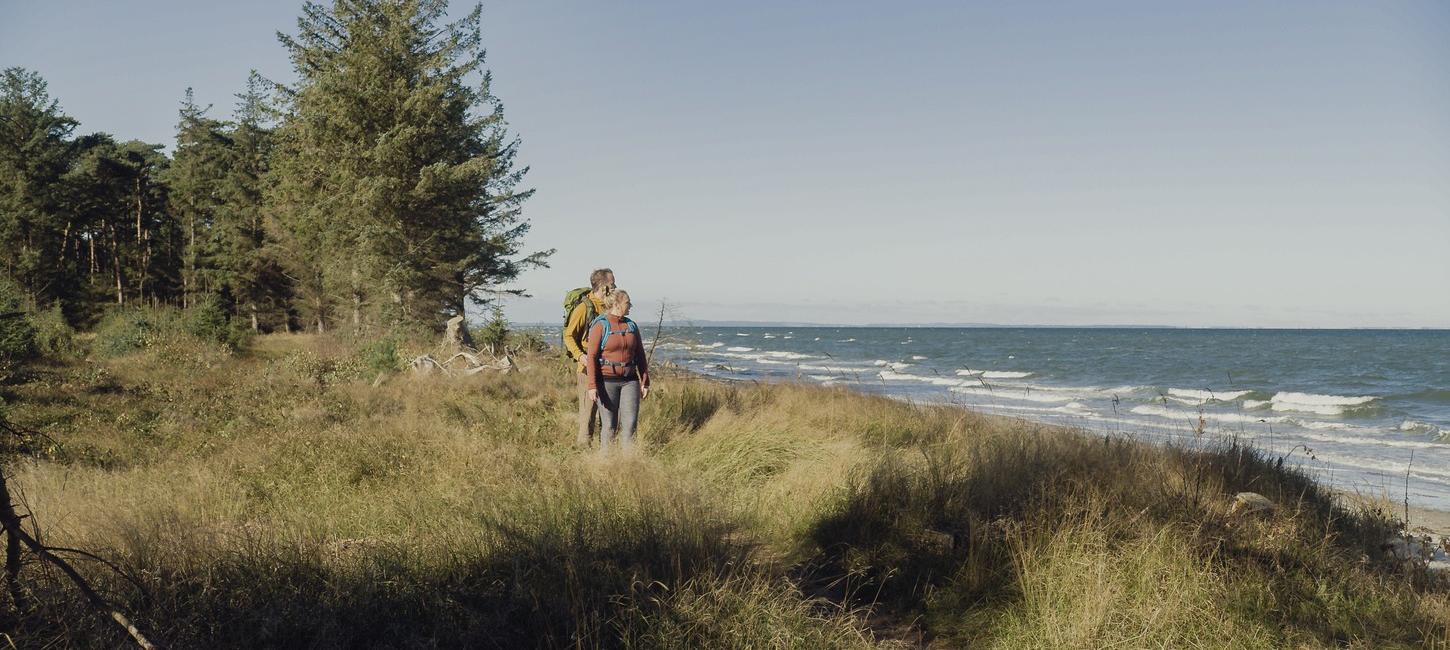 Kvinde og mand vandrer på græsklint ved kysten med grantræer i baggrunden.