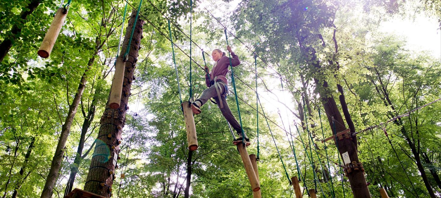 Gorilla park vejle nørreskoven
