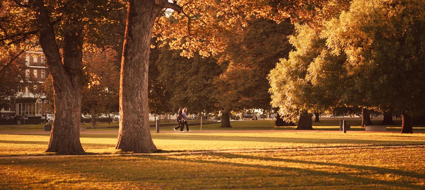 Efterår i Odense Kongens Have