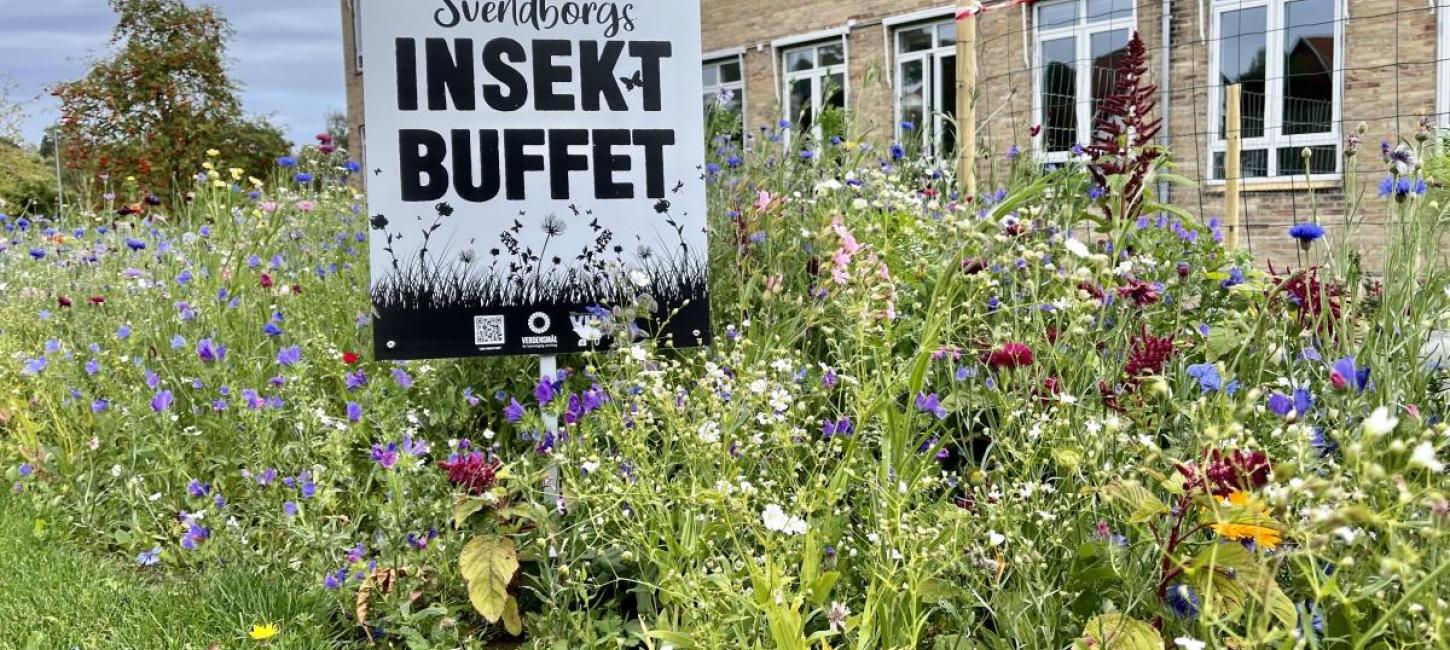 Svendborgs insektbuffet