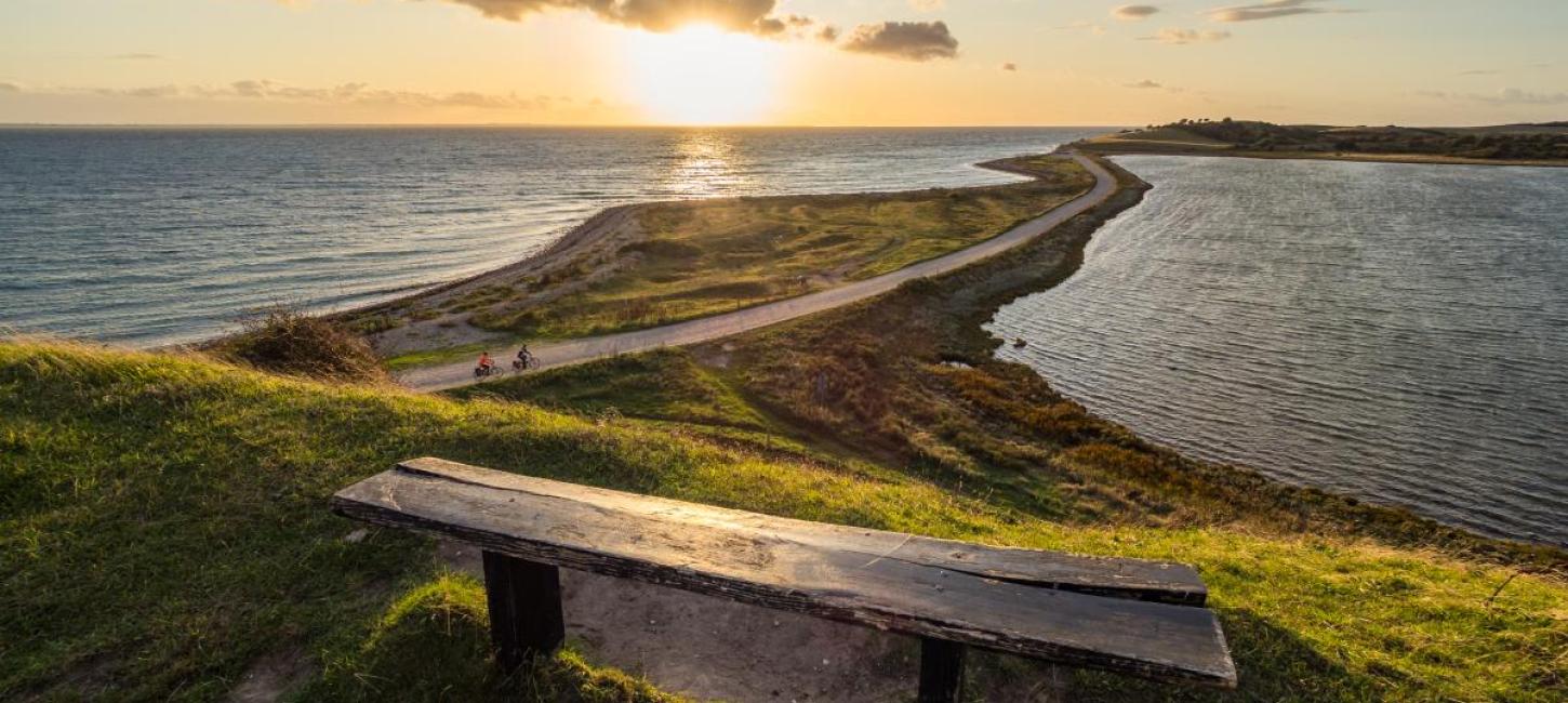 Bænk ved Knuds Hoved med tangen og solnedgang i baggrunden