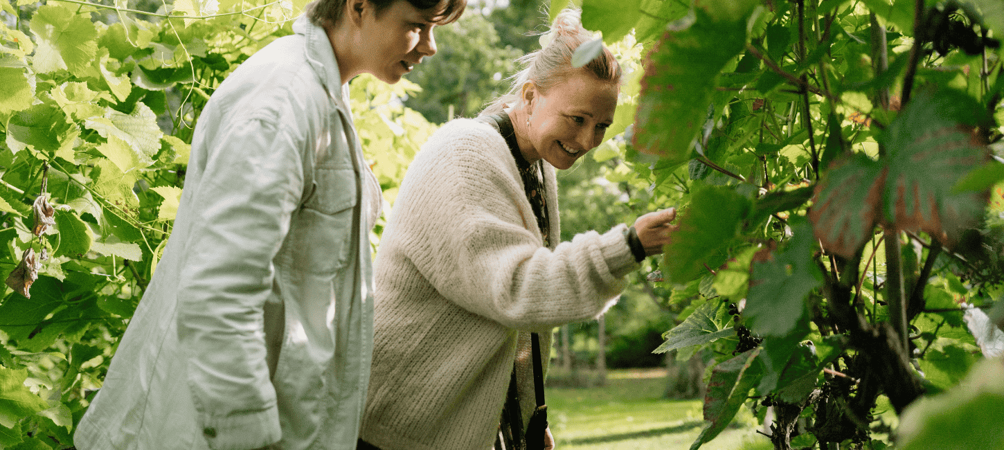 To kvinder kigger på druer på en vinmark