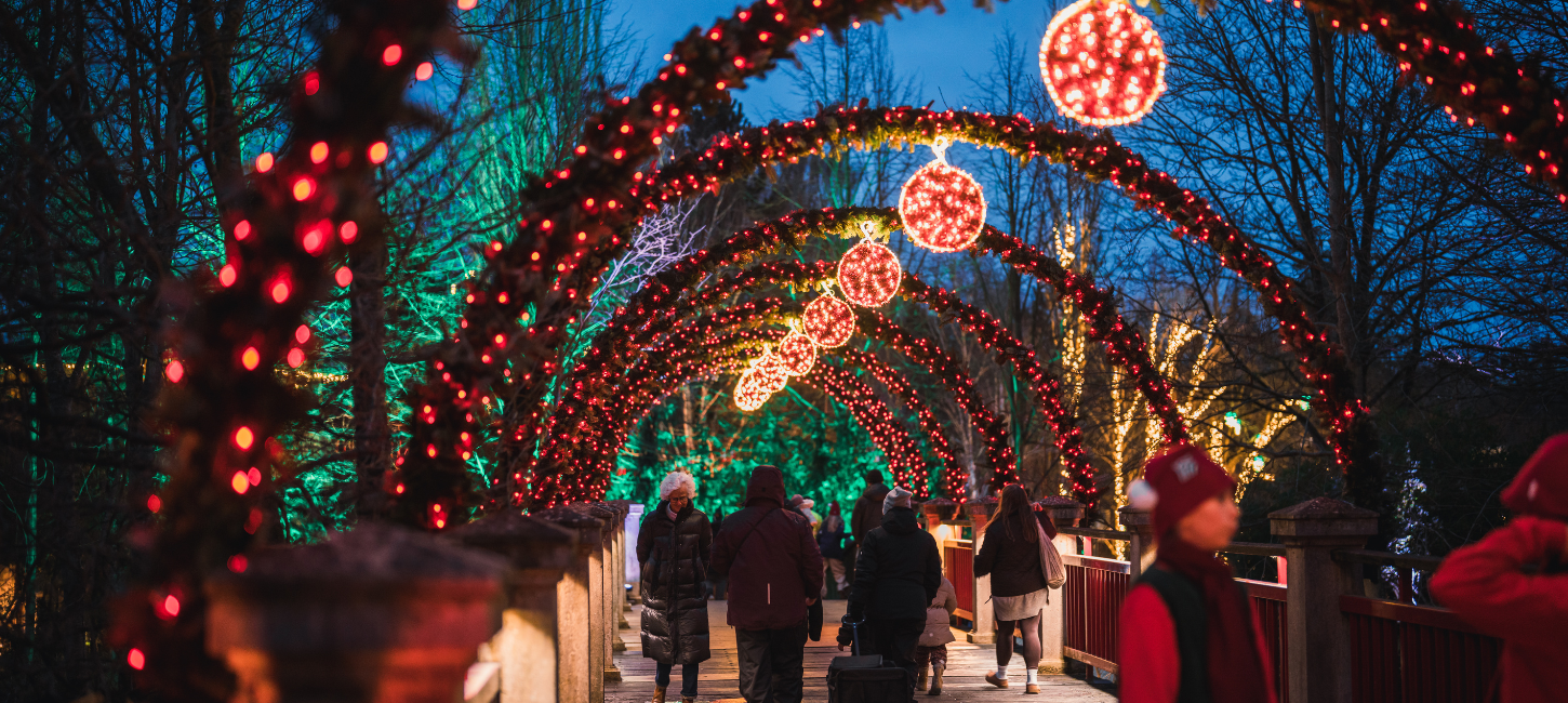Lysende buer henover bro i Odense ZOO
