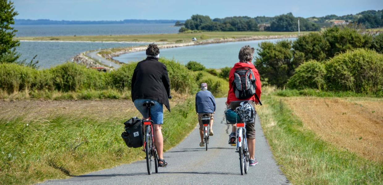 Tre cyklister set bagfra, der kører på en lille asfaltvej med marker til begge sider og hav i baggrunden. 