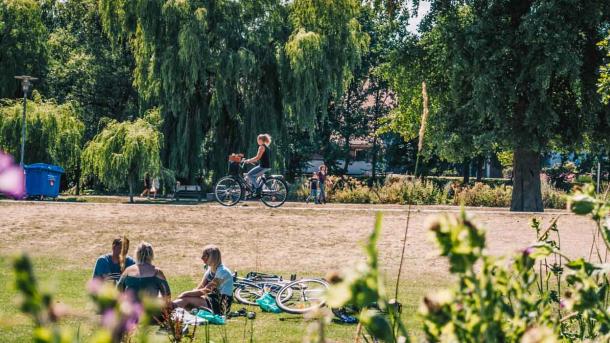 Munkemose park i Odense på en sommerdag. En flok unge mennesker sidder på et tæppe og hygger sig, mens en cyklist cykler på en sti i baggrunden.