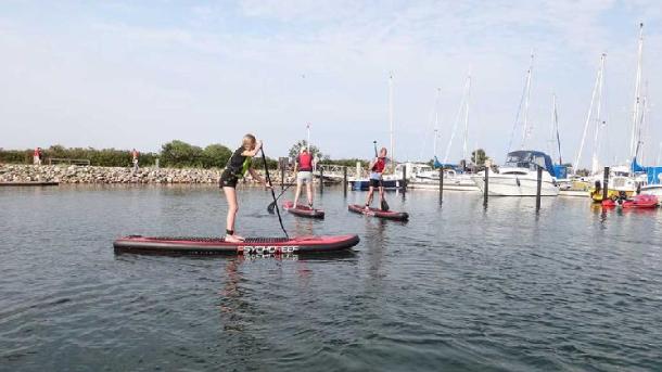 Tre mennesker på stand up paddle boards ved Bogense Marina