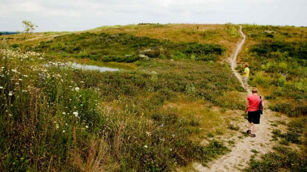 Et par går langs en sandsti gennem et grønt og vildt terræn.