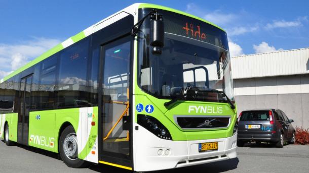 Fynbus