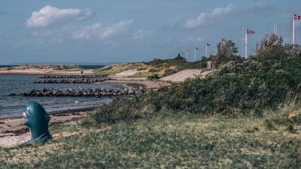 Vandkanten ved Bogense strand marina med stendiger ud i vandet, hvid sandstrand og grønne buske og græsser. I forgrunden en affaldsspand, der ligner en delfin. 