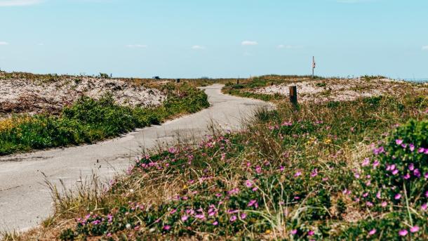 Flyvesandet strand natur nordfyn
