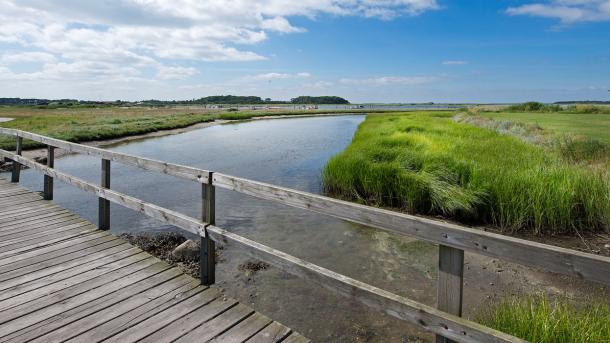 Thorøhuse Assens Natur 