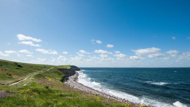 Strandkant med bølgende blåt vand, lyst sand og masser af grønt på land