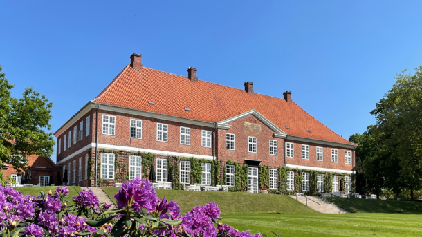 Hindsgavl Slot med lilla rododendron i forgrunden