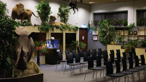 Mødelokale med stolerækker og udstoppede dyr i baggrunden