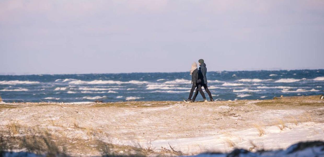 I frøperspektiv ses stranden med vandet i baggrunden og langs stranden går et par med vintertøj på