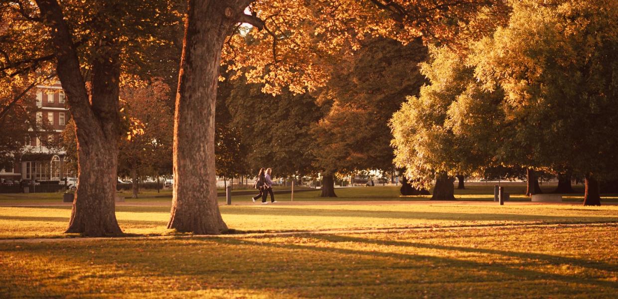 Efterår i Odense Kongens Have