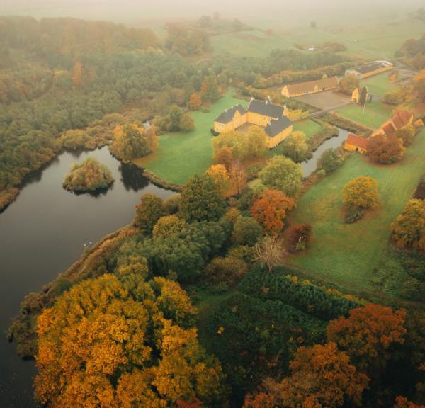 En dronefoto af efterårsfarvet skov der omgiver en gul herregård der ligger ned til vandet. 