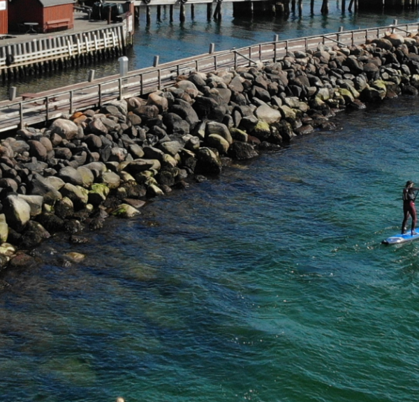 4 personer står på stand up paddle boards på vandet langs kajen ved Lohals