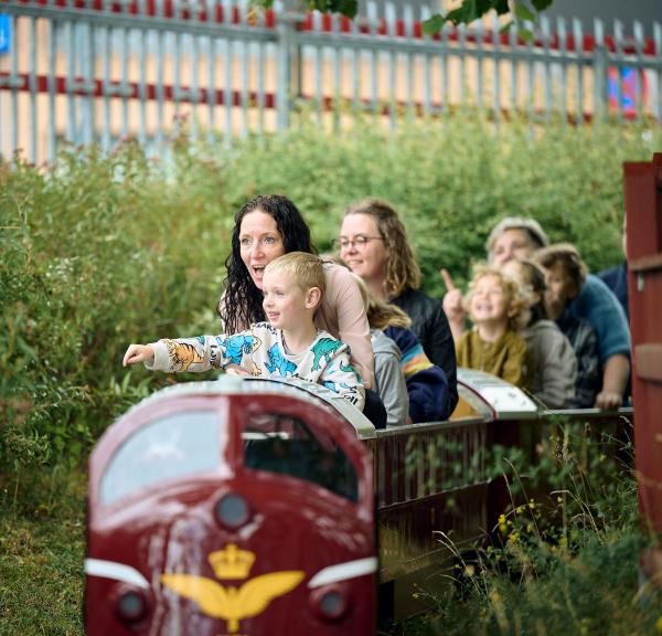 En familie sidder i et minitog med planter som baggrund 