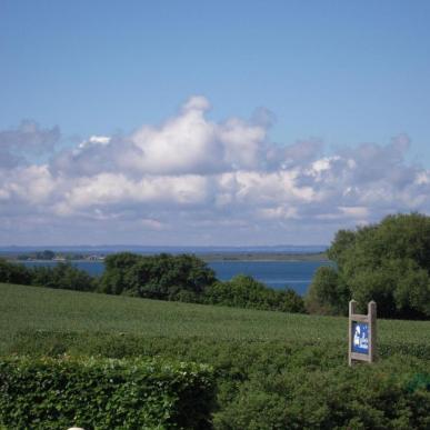 Åben grøn mark med træer i baggrunden, skyer på himlen og et lille skilt, der indikerer et bed&breakfast.