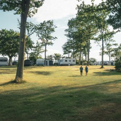 View ud over Falsled Strand Camping med grøn plæne, høje træer, campingvogne med fortelte og to mennesker midt i det hele.