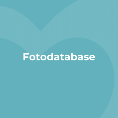 Grafik med teksten "Fotodatabase" på en lyseblå baggrund med VisitFyn-logoet som vandmærke.
